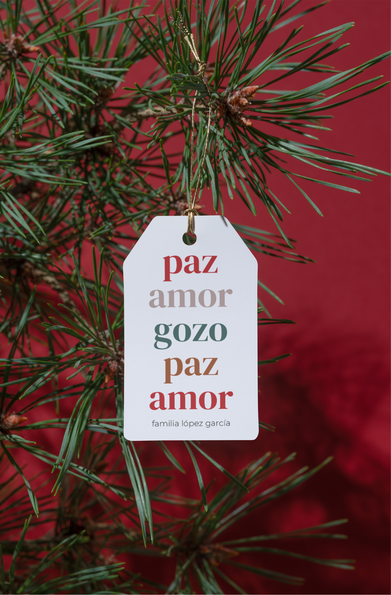 paz, amor & gozo (10 uds)