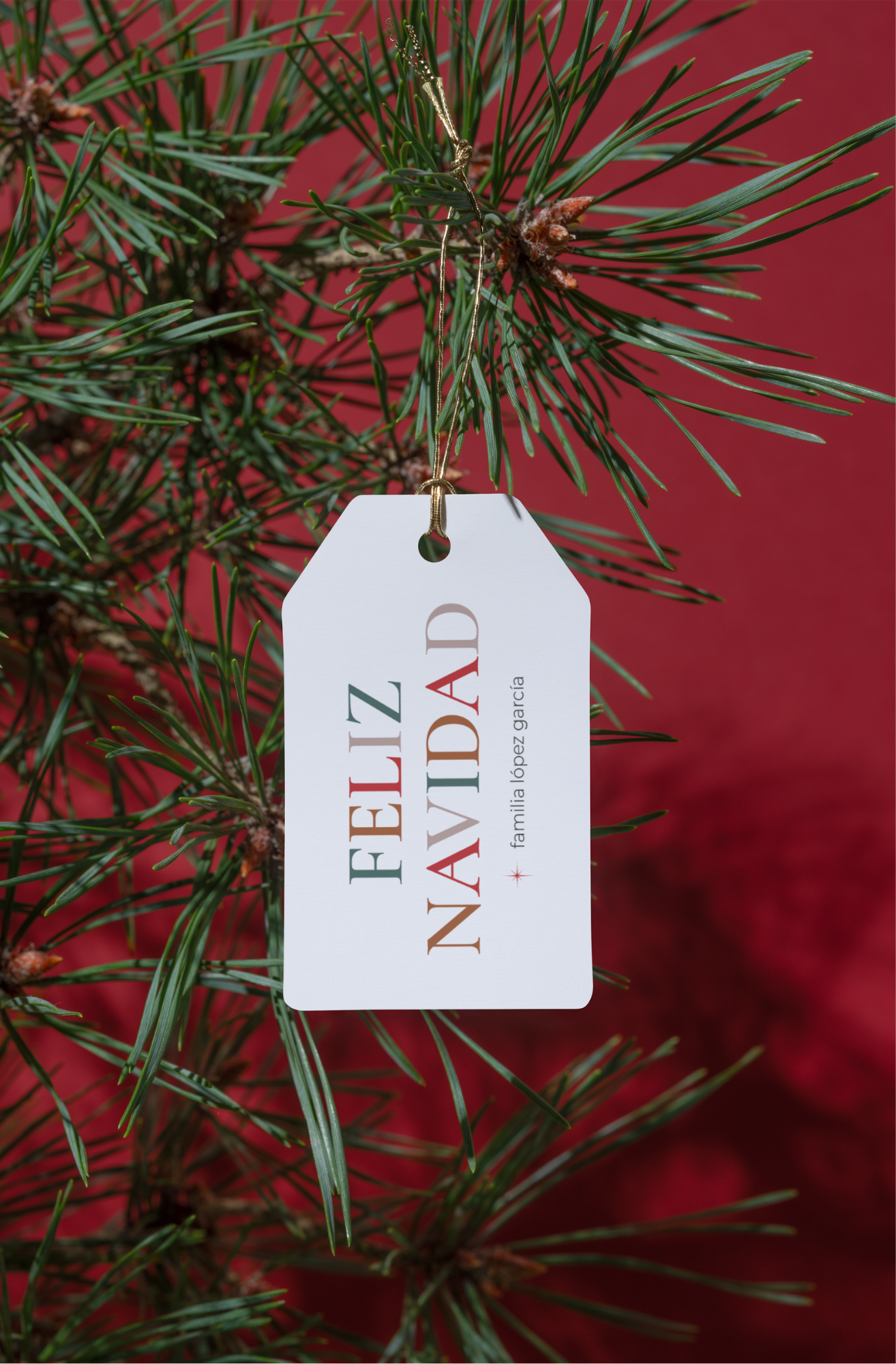 feliz navidad (10 uds)