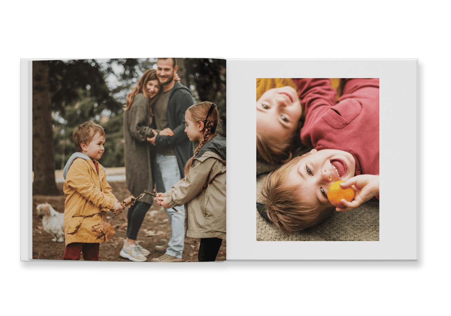 Everyday Family Book