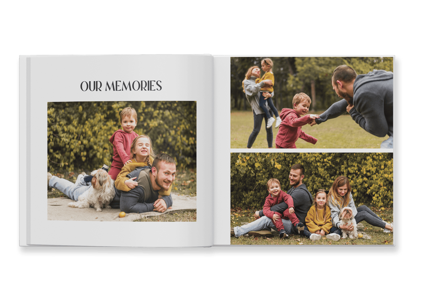 Everyday Family Book